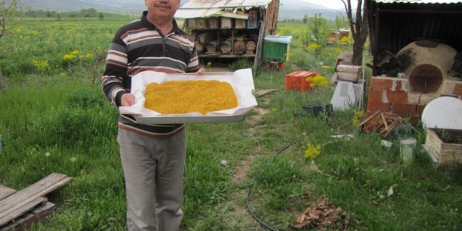 Hisarcık’ta Uzun Süren Bahar Polen Üretimini Arttırdı