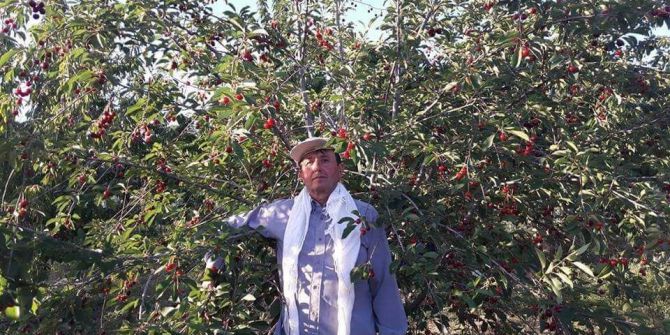 Başkan Bilaloğlu: 20 Bin Ton Vişne Bekliyoruz