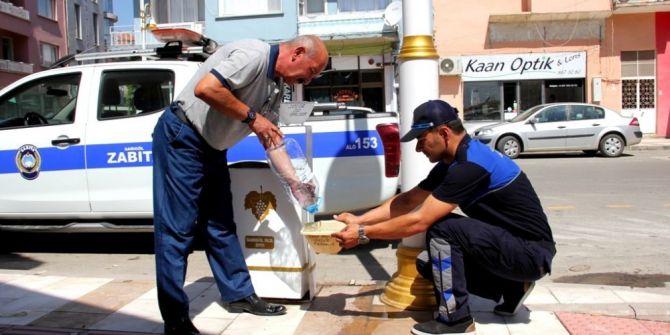 Sokak Hayvanları İçin Zabıta Amirinden Örnek Davranış