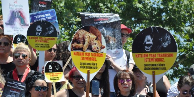 Hayvan Severler Sokak Hayvanlar İçin Eylem Yaptı