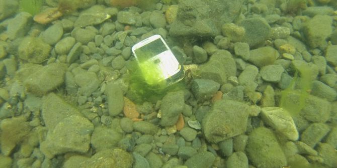 Denizcilik Ve Kabotaj Bayramı’nda Boğaz’ı Temizlediler