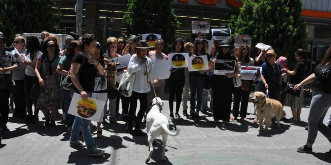 Hayvanları Koruma Kanunundaki Değişiklik Tasarısı Protesto Edildi