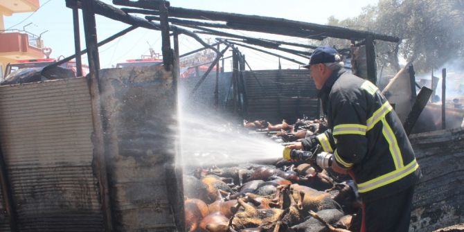 Manavgat’ta Çıkan Yangında 550’e Yakın Hayvan Telef Oldu