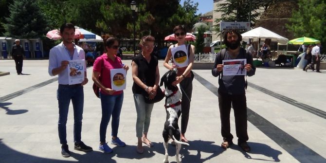 Tokat’ta, Hayvan Hakları Savunucularından Yasa Tasarısı Tepkisi