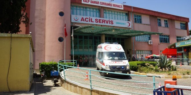 Arıların Saldırısına Uğrayan Şahıs Hayatını Kaybetti