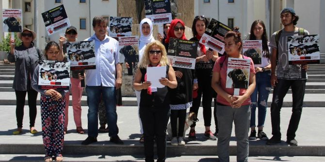 Anadolufed Temsilcisi Dörtkol: