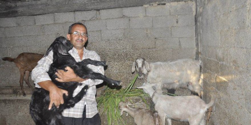 15 Temmuz Şehitlerinin Yakınları İçin Duygulandıran Yardım