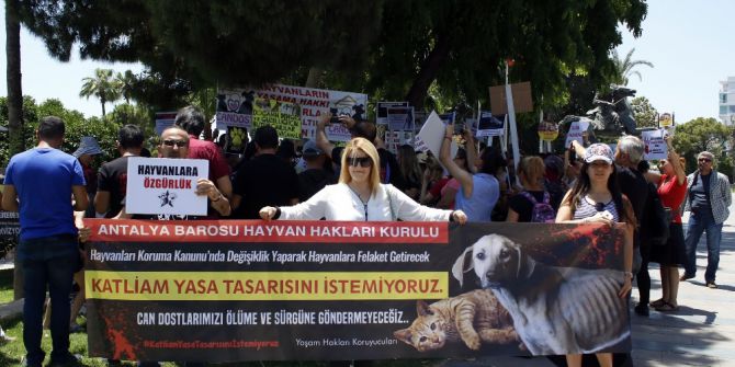 Hayvan Hakları İçin 44 Derecelik Sıcağa Aldırmadılar