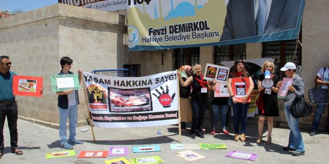 Hayvan Hakları Savunucularından Yasa Tasarısına Tepki