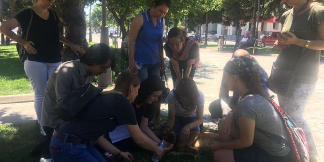 Hazırlanan Yasa Tasarısına Hayvan Severler’den Tepki Geldi