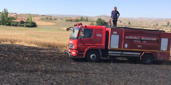 Sungurlu’da Buğday Ekili Tarla Yandı