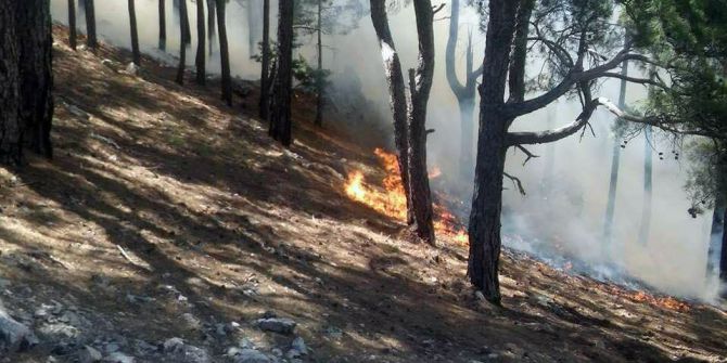 Anamur’daki Orman Yangını Devam Ediyor, Evler Boşaltıldı
