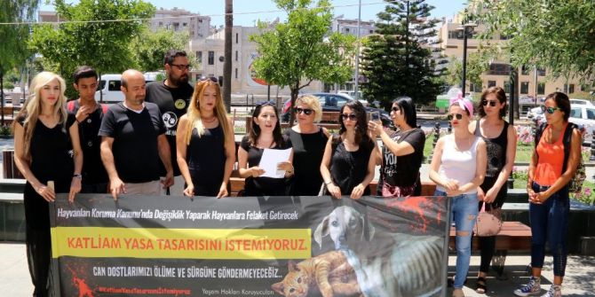 Hayvan Severlerden ‘Yasa Tasarısı’ Tepkisi