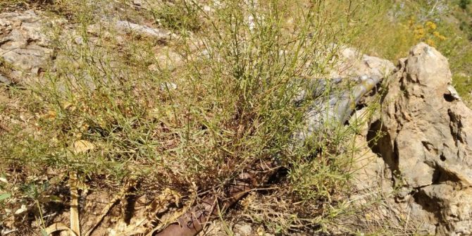 Bingöl’de Teröristlere Hava Harekatı, 2 Hedef İmha Edildi