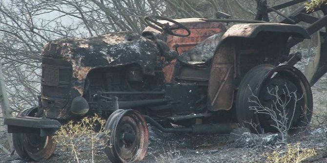İzmir’deki Yangında Onlarca Zeytin Ağacı Zarar Gördü
