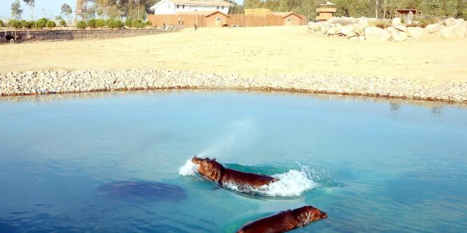 “Doğal Yaşam” Ailesi Büyüyor