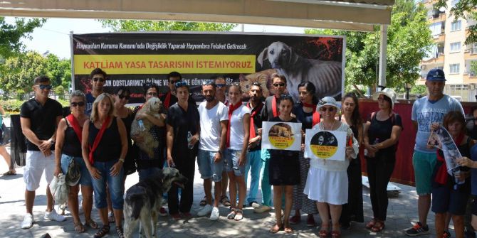 Ortaca’da Hayvanseverlerden Eylem