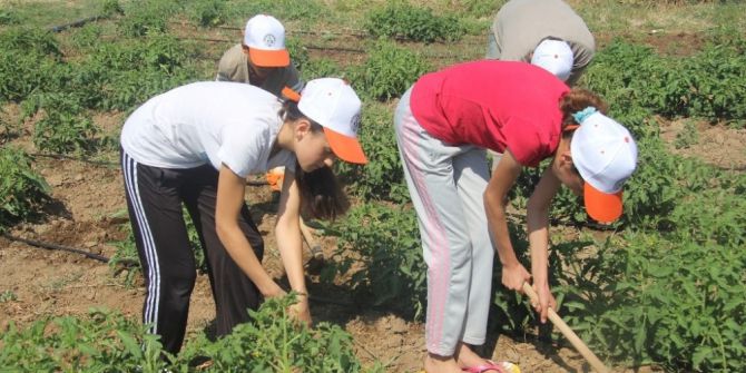 Burhaniye’ De Öğrencilere Yaz Kampı Başlıyor