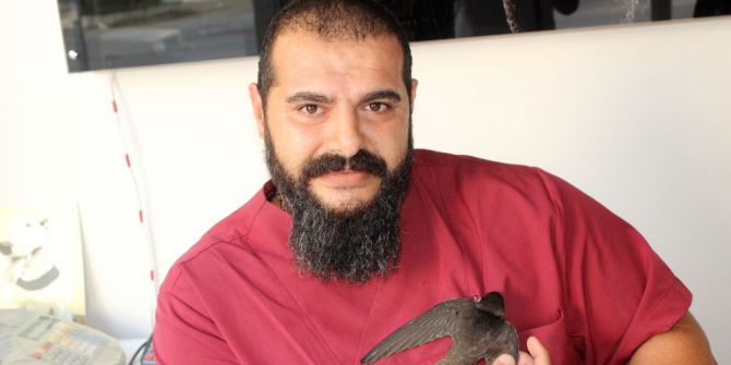 Aşırı Sıcaklara Ebabil Kuşu Da Dayanamadı