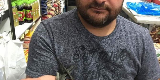 Çorum’da Ebabil Kuşu Yavrusu Bulundu