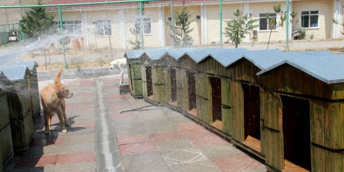 Çankaya Belediyesinden Vatandaşlara "Sokaklara Bir Kap Su Bırakalım" Çağrısı