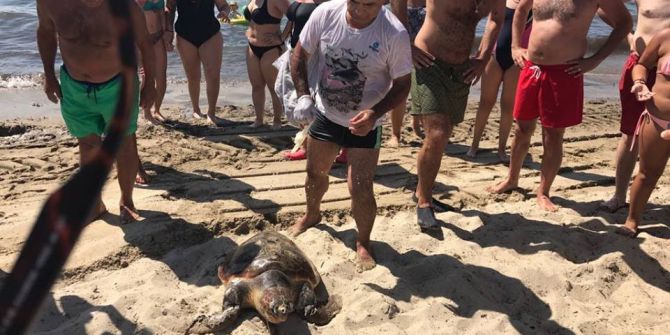 Kuşadası’nda Caretta Caretta Seferberliği