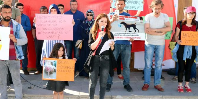 Yozgat’ta Hayvan Severler Yeni Yasa Tasarısını Protesto Etti