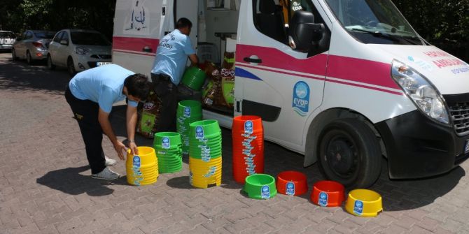 Eyüp Belediyesi Sokak Hayvanları İçin Su Kabı Dağıttı