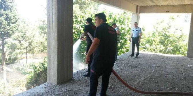 Bahçe Yangını Paniğe Neden Oldu