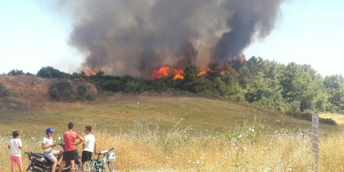 Manavgat’ta Makilik Yangını