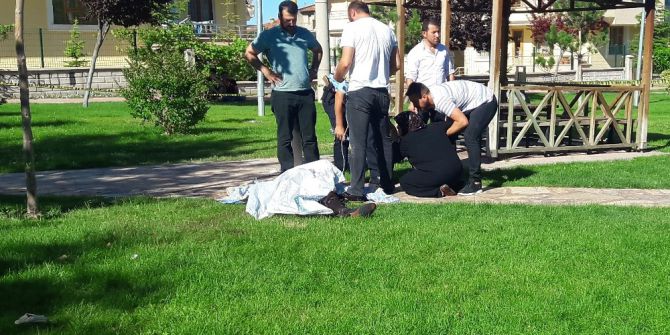 Çocuğuyla Gittiği Parkta Bıçaklanarak Öldürüldü