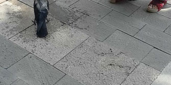 Denizli’de Kamu Personeline Aşırı Sıcak Tatili