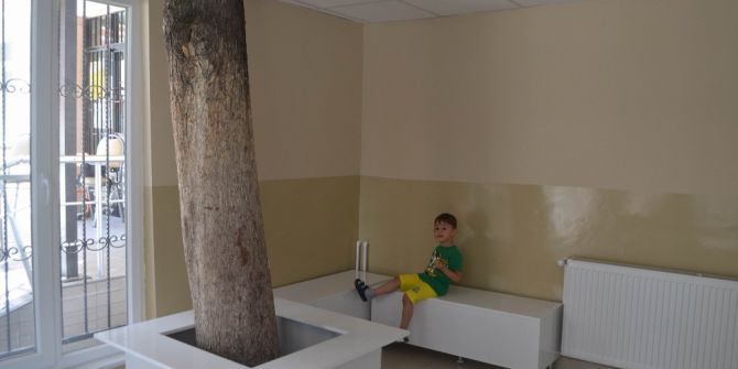 Okul Kantinin İçinden Ağaç Geçiyor