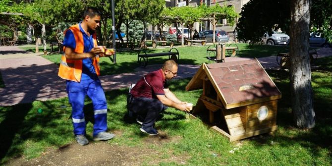 Sokak Hayvanları İçin Park Ve Bahçelere Suluk Yerleştirildi