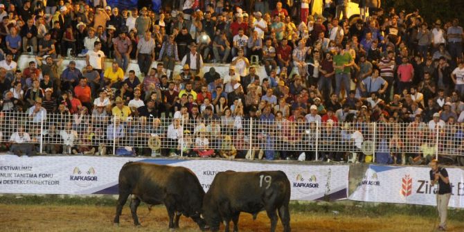 17 Saat Boyunca Boğa Güreşlerini İzlediler