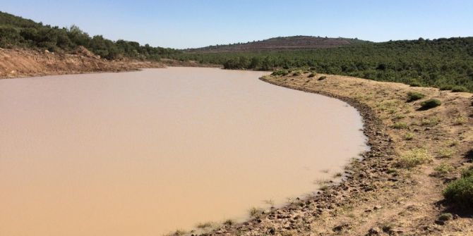 Büyükşehir, Yunusemre’deki Göletleri Temizledi