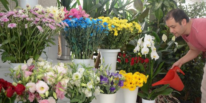 Sıcak Havalarda Çiçeklerin Bakımı