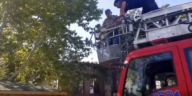 Yuvasından Düşen Yavru Karganın Yardımına İtfaiye Yetişti