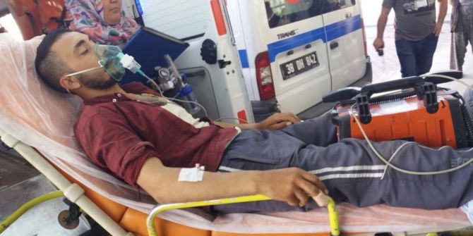 Yılanın Soktuğu Çiftçi Hastanelik Oldu