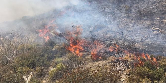 Avşa’da Arazi Yangını