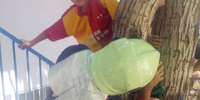 Ayağı Ağacın Gövdesine Sıkışan Çocuğu İtfaiye Kurtardı