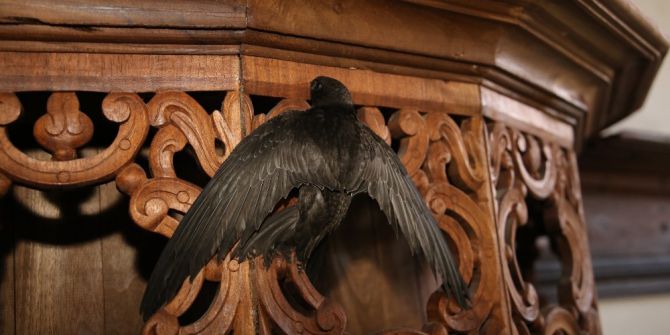 Ebabil Kuşu Tarihi Kula Evlerine Sığındı