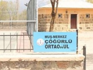 Muş Çöğürlü Köyü