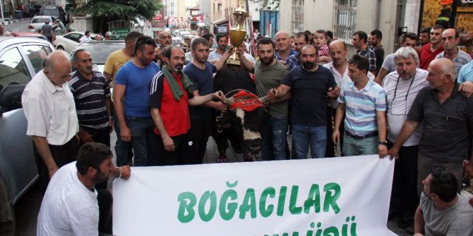 Şampiyon Boğalardan Şehir Turu