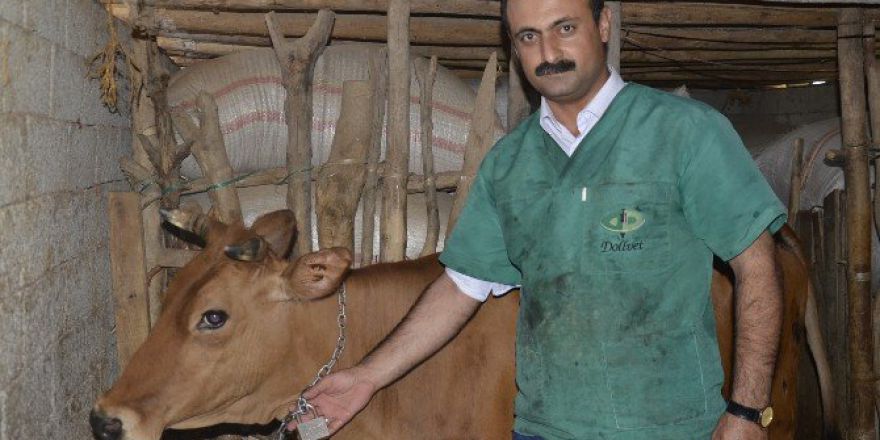 Hayvan Hırsızlığına Karşı Kilitli Çözüm