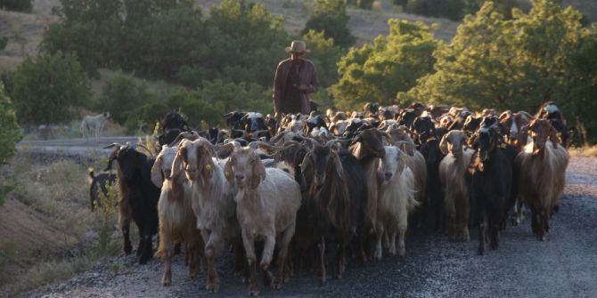 Köy Hayatını, Şehir Yaşamına Tercih Etti