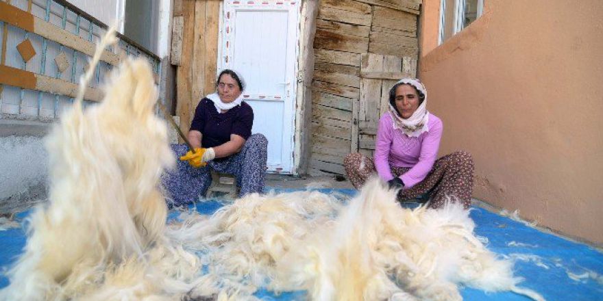 Kadınların Yün Çırpma Mesaisi