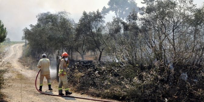 İzmir’deki Orman Yangını 4. Gününde