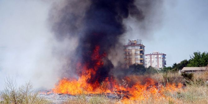 Köpekler Ve Tavuklar Yanmaktan Son Anda Kurtarıldı