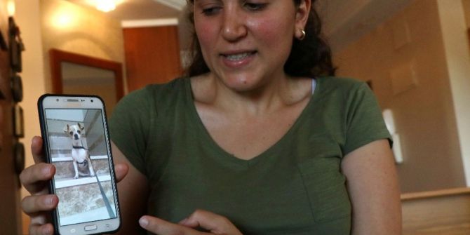 Üniversite Öğrencisi Kayıp Köpeğini Bulana Ödül Verecek
